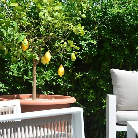 Affittacamere Le Stelle Sea